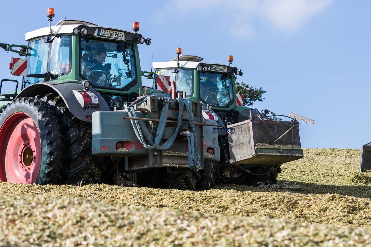 Bild 130 - Maisernte